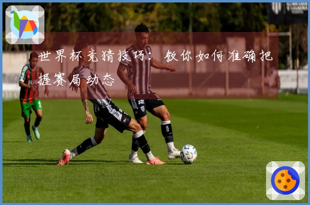 世界杯竞猜技巧：教你如何准确把握赛局动态