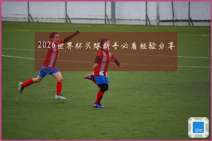 2026世界杯买球新手必看经验分享