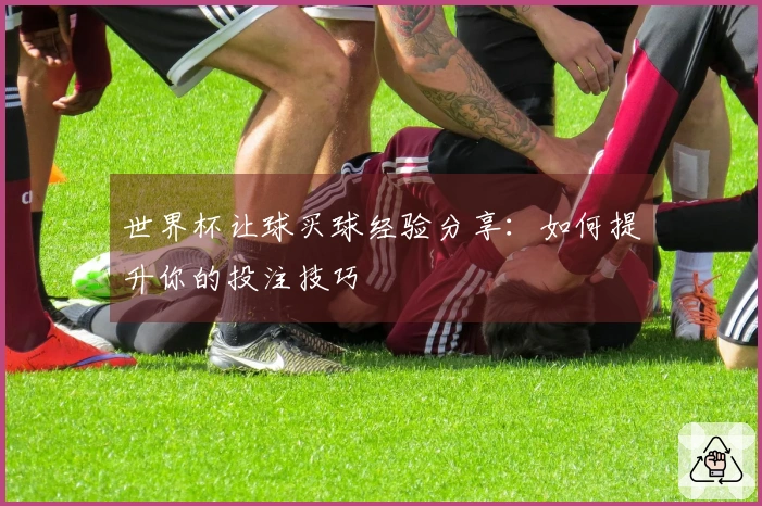 世界杯让球买球经验分享：如何提升你的投注技巧