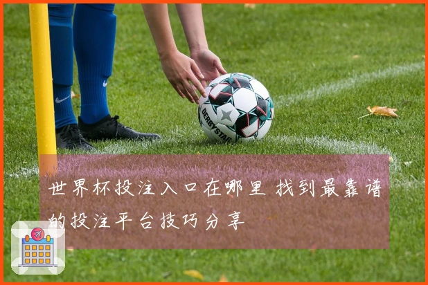 世界杯投注入口在哪里 找到最靠谱的投注平台技巧分享