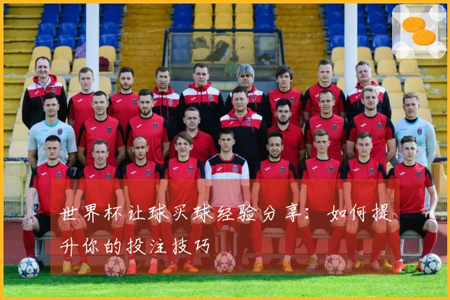 世界杯让球买球经验分享：如何提升你的投注技巧