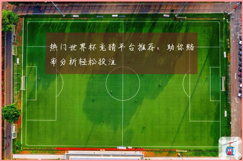 热门世界杯竞猜平台推荐，助你赔率分析轻松投注