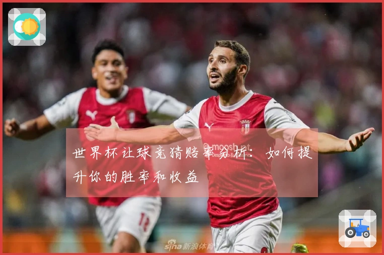 世界杯让球竞猜赔率分析：如何提升你的胜率和收益