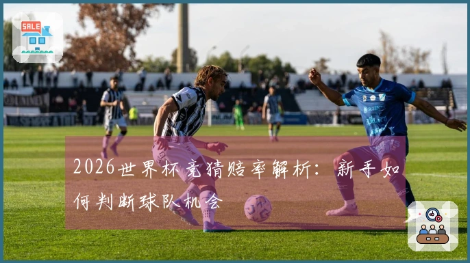 2026世界杯竞猜赔率解析：新手如何判断球队机会