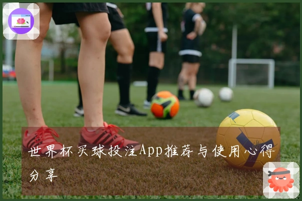 世界杯买球投注App推荐与使用心得分享
