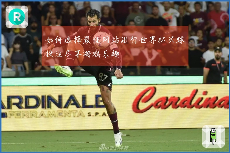 如何选择最佳网站进行世界杯买球投注尽享游戏乐趣