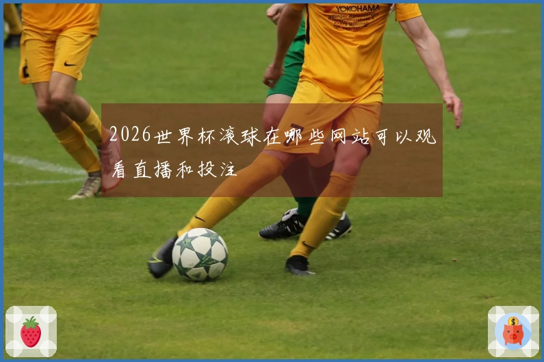 2026世界杯滚球在哪些网站可以观看直播和投注