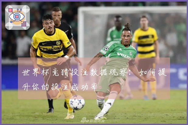 世界杯竞猜投注数据观察：如何提升你的投注成功率