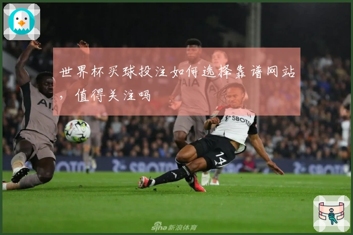 世界杯买球投注如何选择靠谱网站，值得关注吗