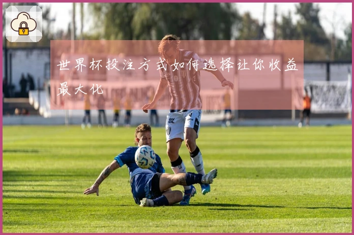 世界杯投注方式如何选择让你收益最大化