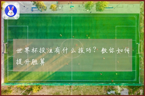 世界杯投注有什么技巧？教你如何提升胜算