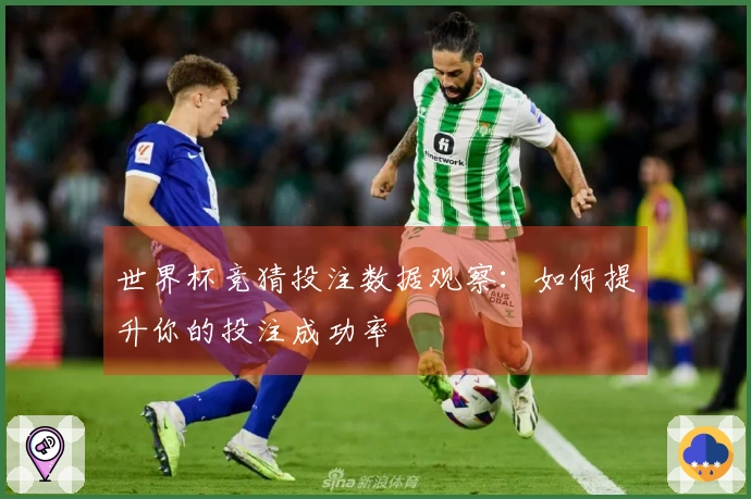世界杯竞猜投注数据观察：如何提升你的投注成功率
