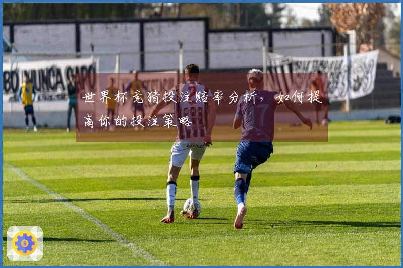 世界杯竞猜投注赔率分析，如何提高你的投注策略