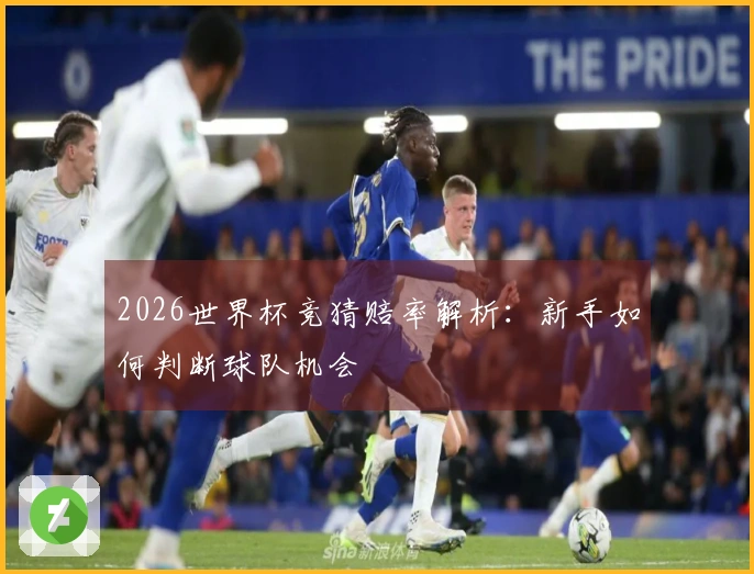 2026世界杯竞猜赔率解析:新手如何判断球队机会