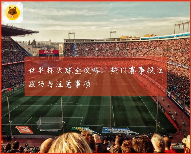 世界杯买球全攻略：热门赛事投注技巧与注意事项